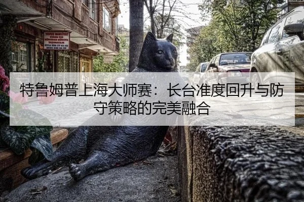te-lu-mu-pu-shang-hai-da-shi-sai-zhang-tai-zhun-du-hui-sheng-yu-fang-shou-ce-lve-de-wan-mei-rong-he-2-138.jpg