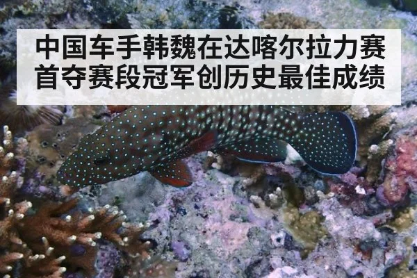 中国车手韩魏在达喀尔拉力赛首夺赛段冠军创历史最佳成绩